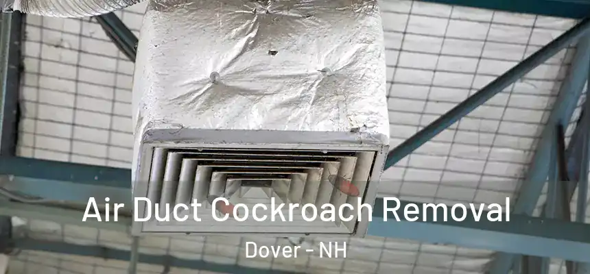  Air Duct Cockroach Removal Dover - NH