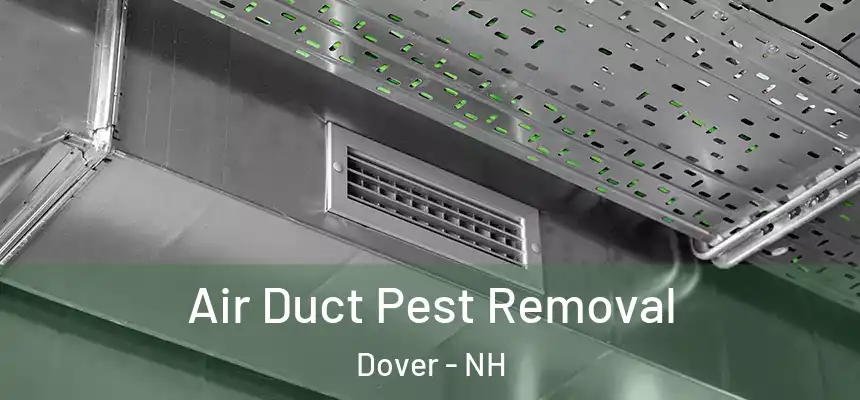 Air Duct Pest Removal Dover - NH