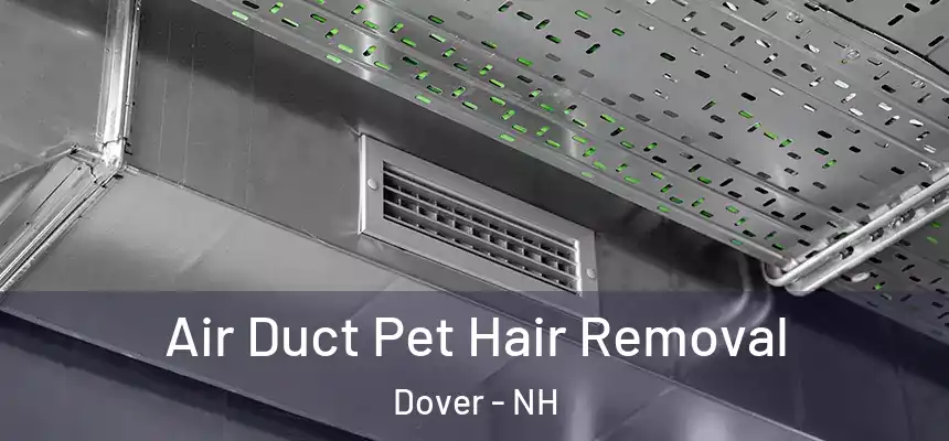 Air Duct Pet Hair Removal Dover - NH