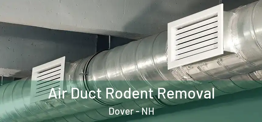 Air Duct Rodent Removal Dover - NH