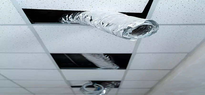 Our Air Duct Pet Hair Removal Services in Dover, NH