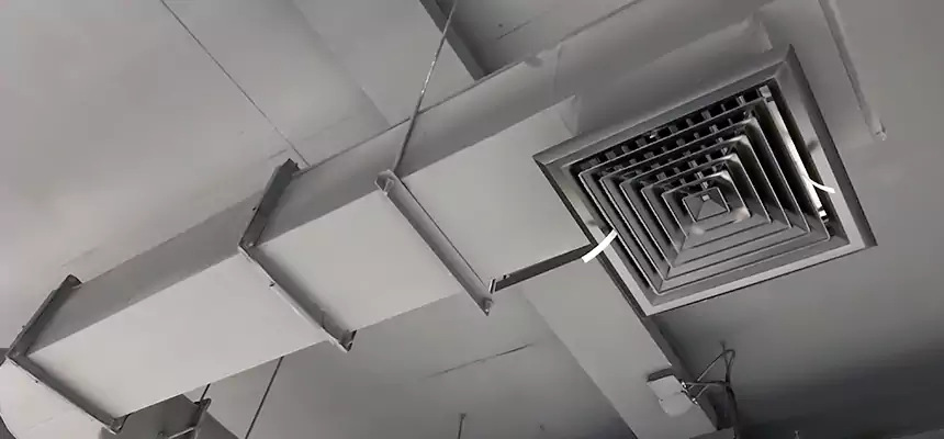 Our Pest Removal From Ducts Services in Dover, NH