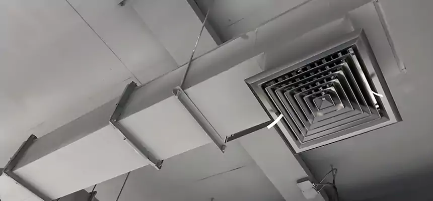 Our Rodent Droppings In Vents Services in Dover, NH