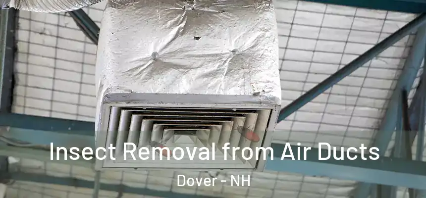 Insect Removal from Air Ducts Dover - NH