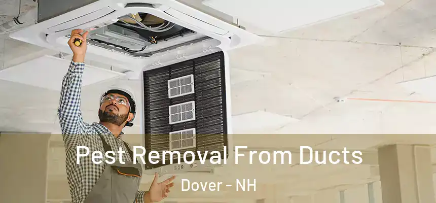  Pest Removal From Ducts Dover - NH