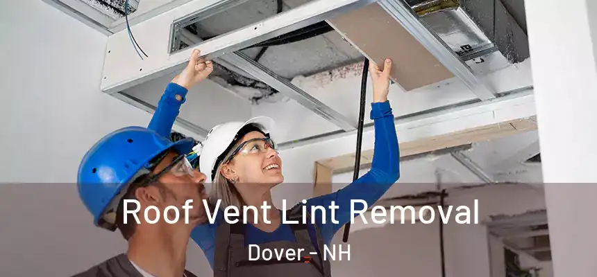  Roof Vent Lint Removal Dover - NH