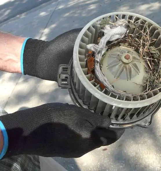 About Air Duct Mice Removal in Dover, NH