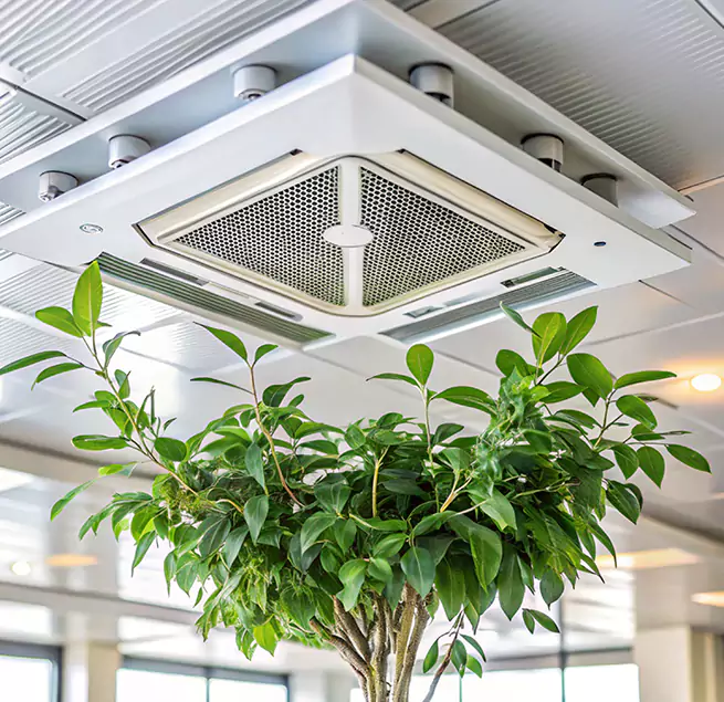 Why Homeowners & Businesses Trust Us in Dover, NH?