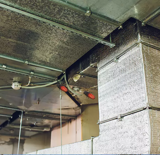 Why Homeowners & Businesses Trust Us Dover, NH?